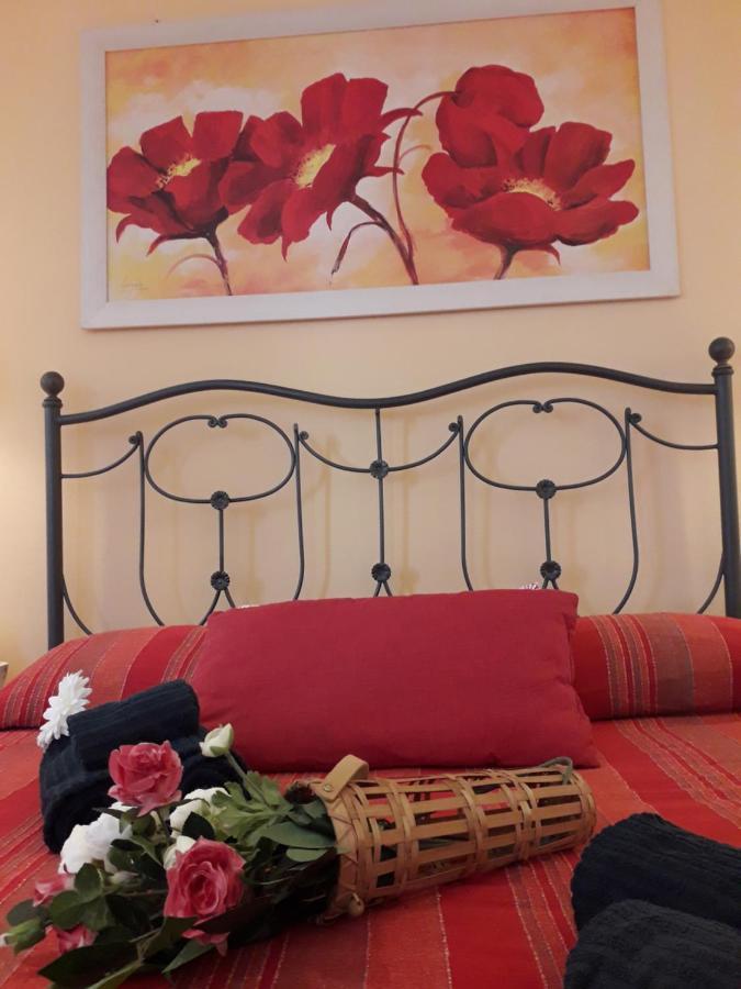 La Chicca Apartment Pisa Luaran gambar