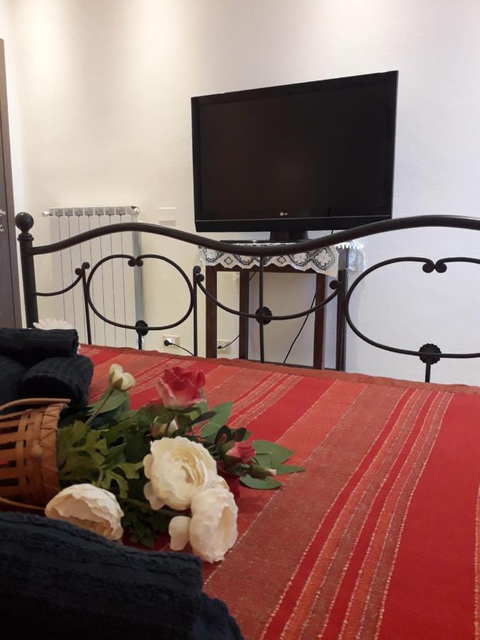 La Chicca Apartment Pisa Luaran gambar